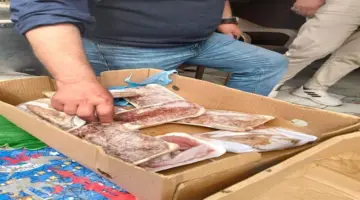 اعرف حقوقك.. وسائل الإبلاغ عن السلع واللحوم المغشوشة والفاسدة